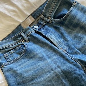 Everlane the Original Cheeky Jean
